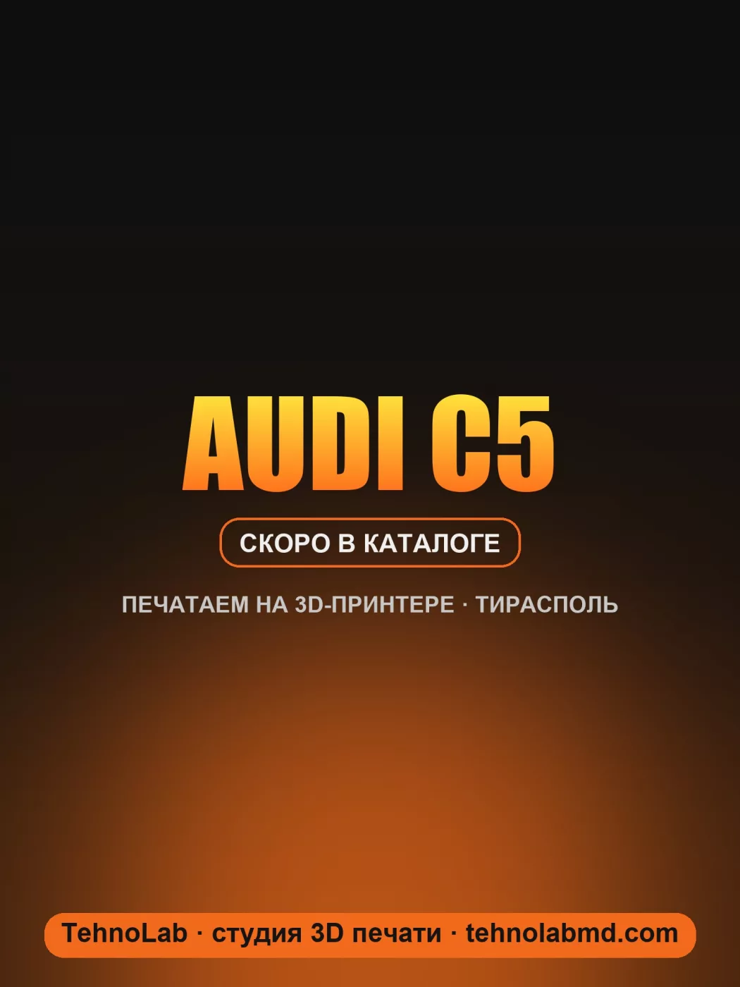 Audi C5