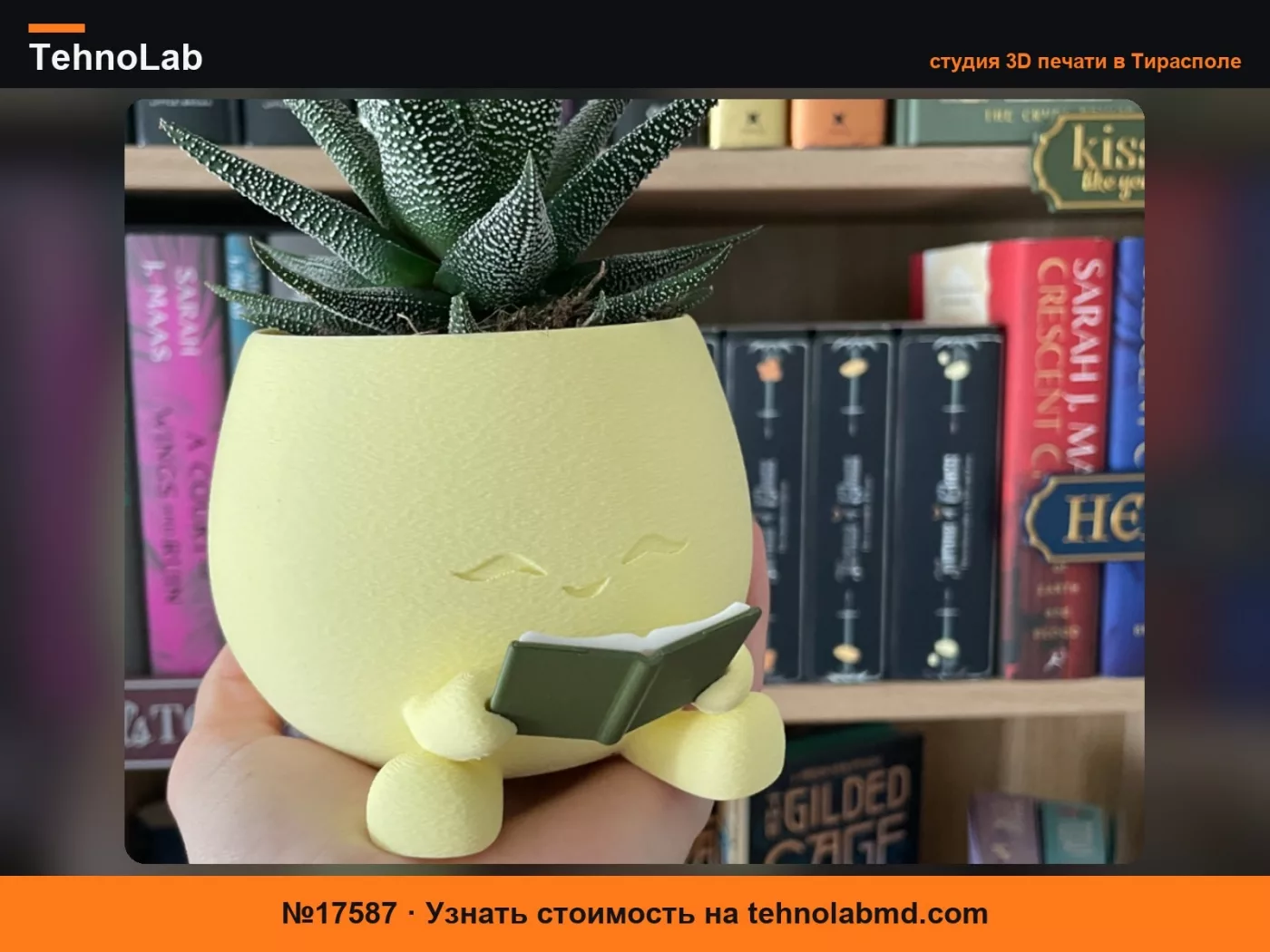 №17587 Кашпо для чтения
