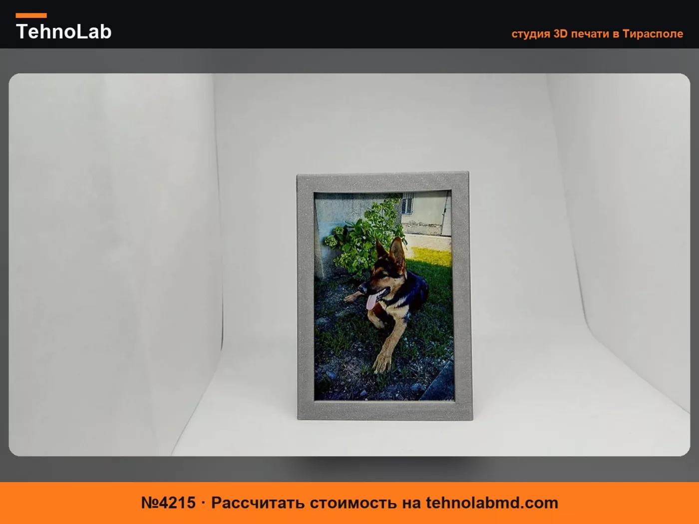 №4215 Фоторамка HP Sprocket Select
