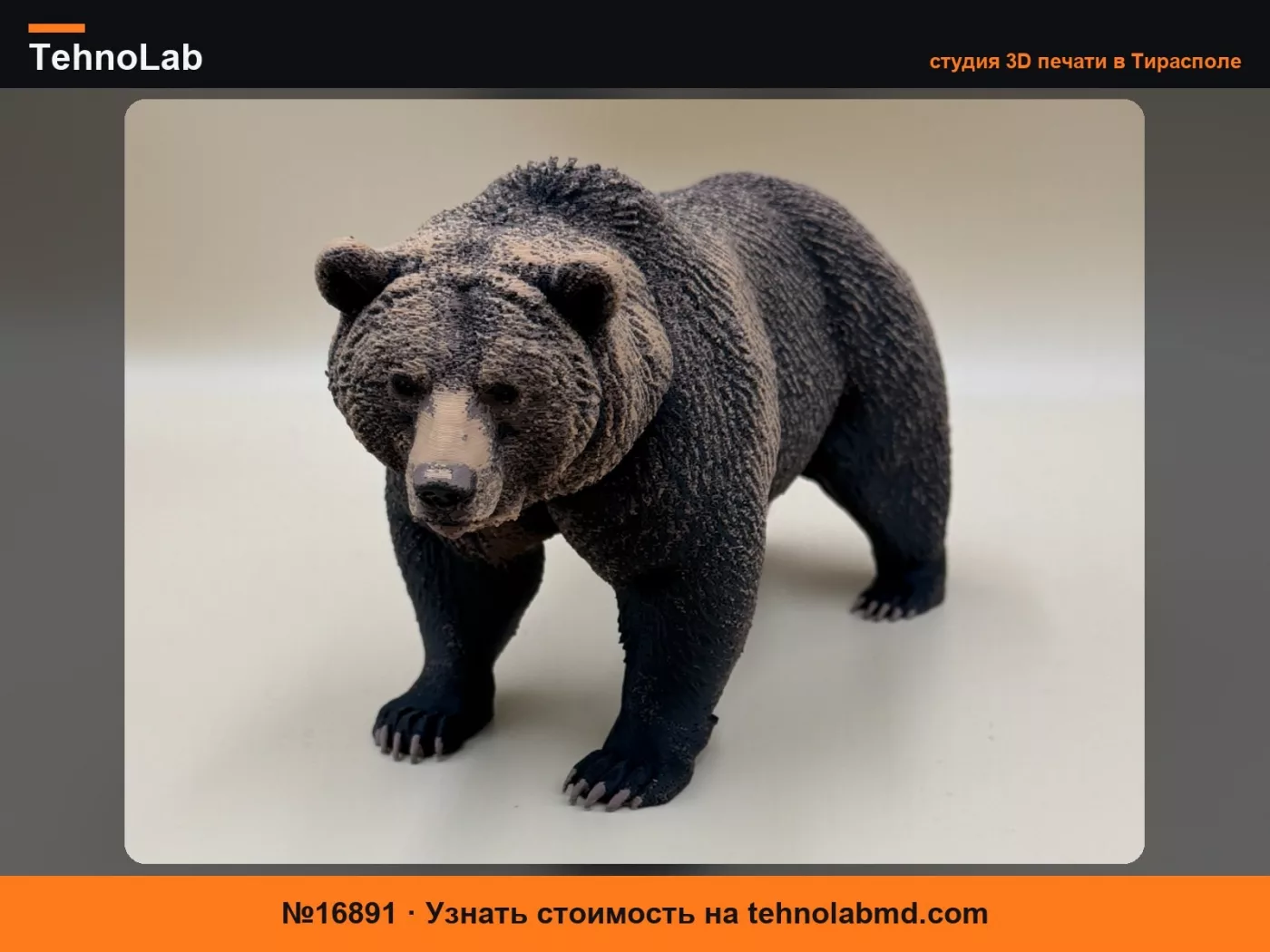 №16891 Дикий медведь гризли