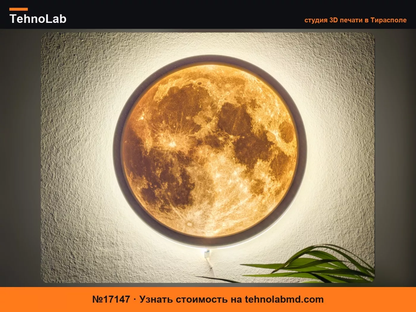 №17147 Настенный лунный светильник