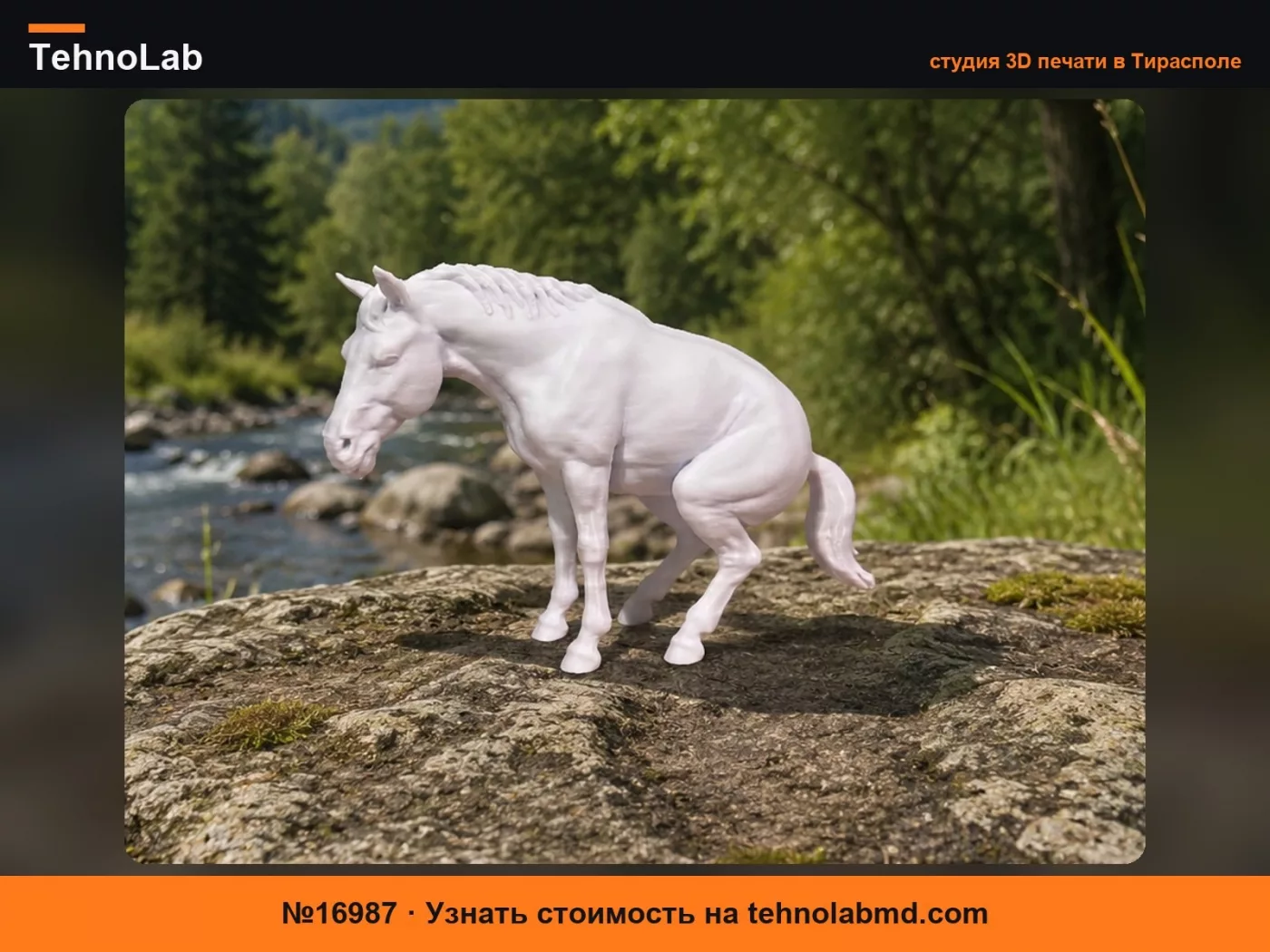 №16987 Какающая лошадь – Забавно