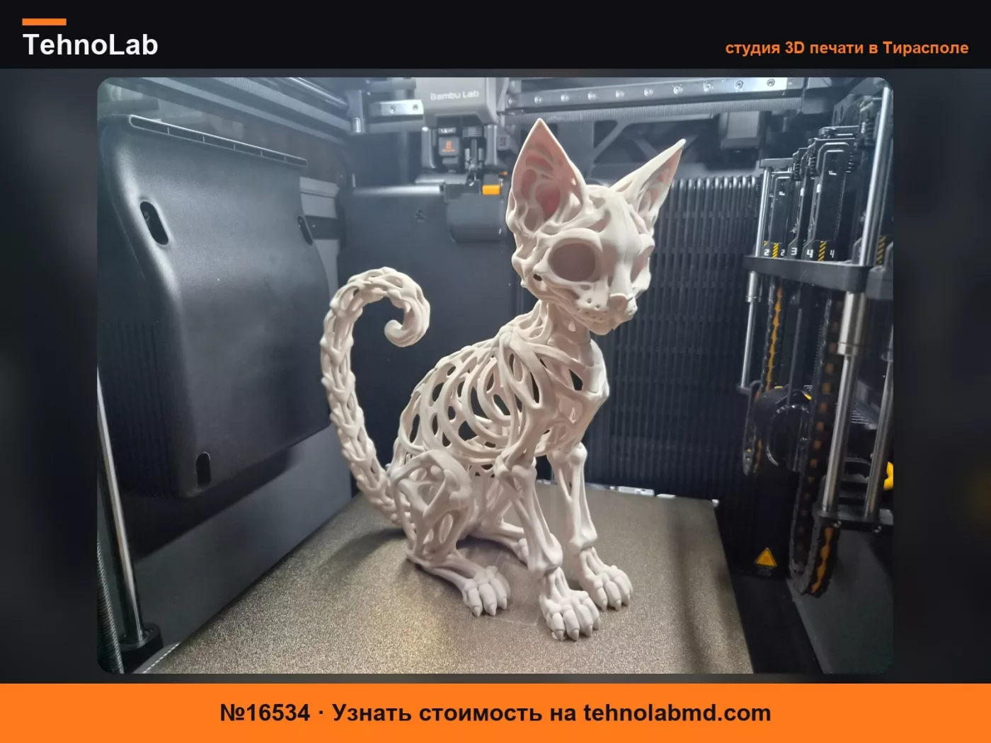 №16534 Кошачий Скелет – Скульптура Скелета Кошки