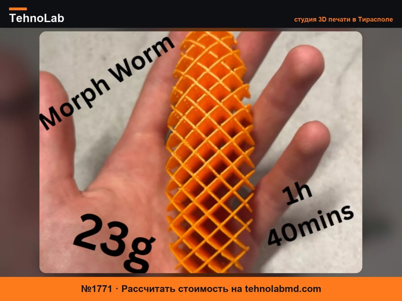 №1771 Морф-червь