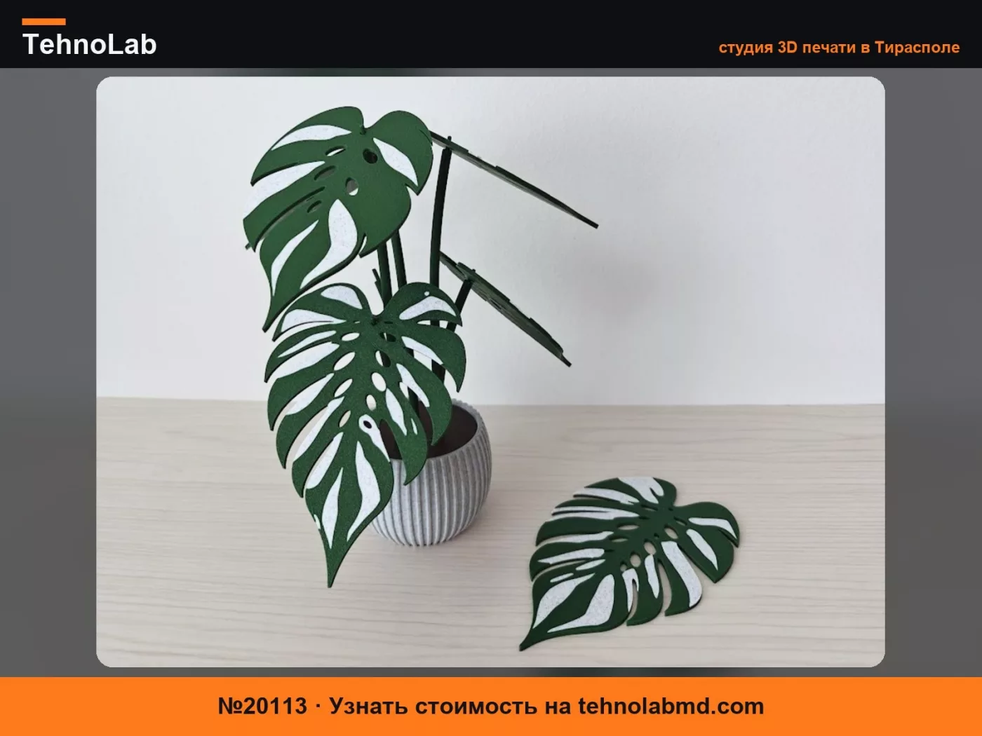 №20113 Набор подставок Monstera Devil Monster