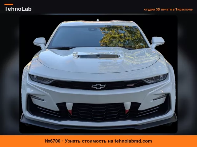 №6700 Клыки для Chevy Camaro SS Gen6 2019+