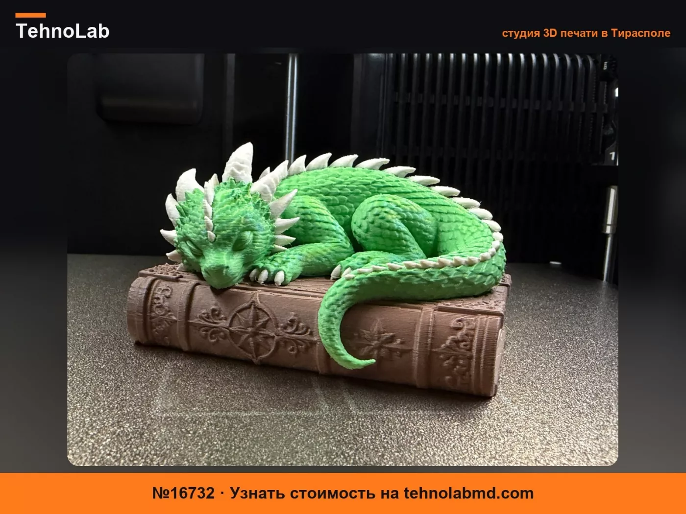 №16732 Спящий дракон на книге