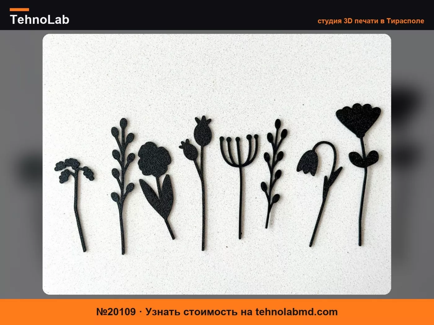 №20109 BloomFrame – Силуэты