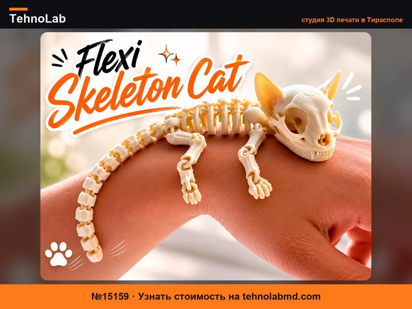 №15159 Гибкий кот-скелет – Артикулированный 3D кот-скелет