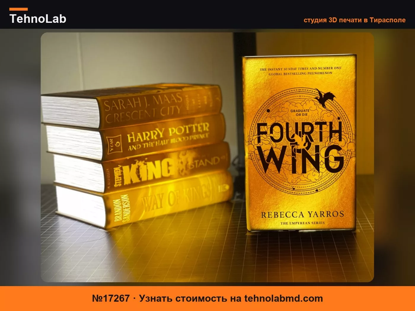 №17267 Книги-литофании – Fourth Wing