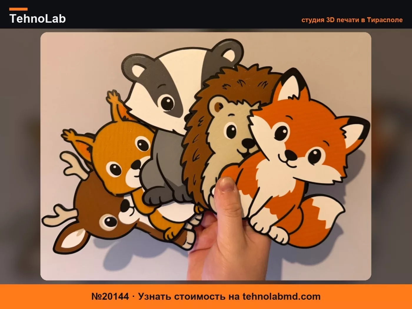 №20144 Набор 2D диких животных 1 – Изучаем животных