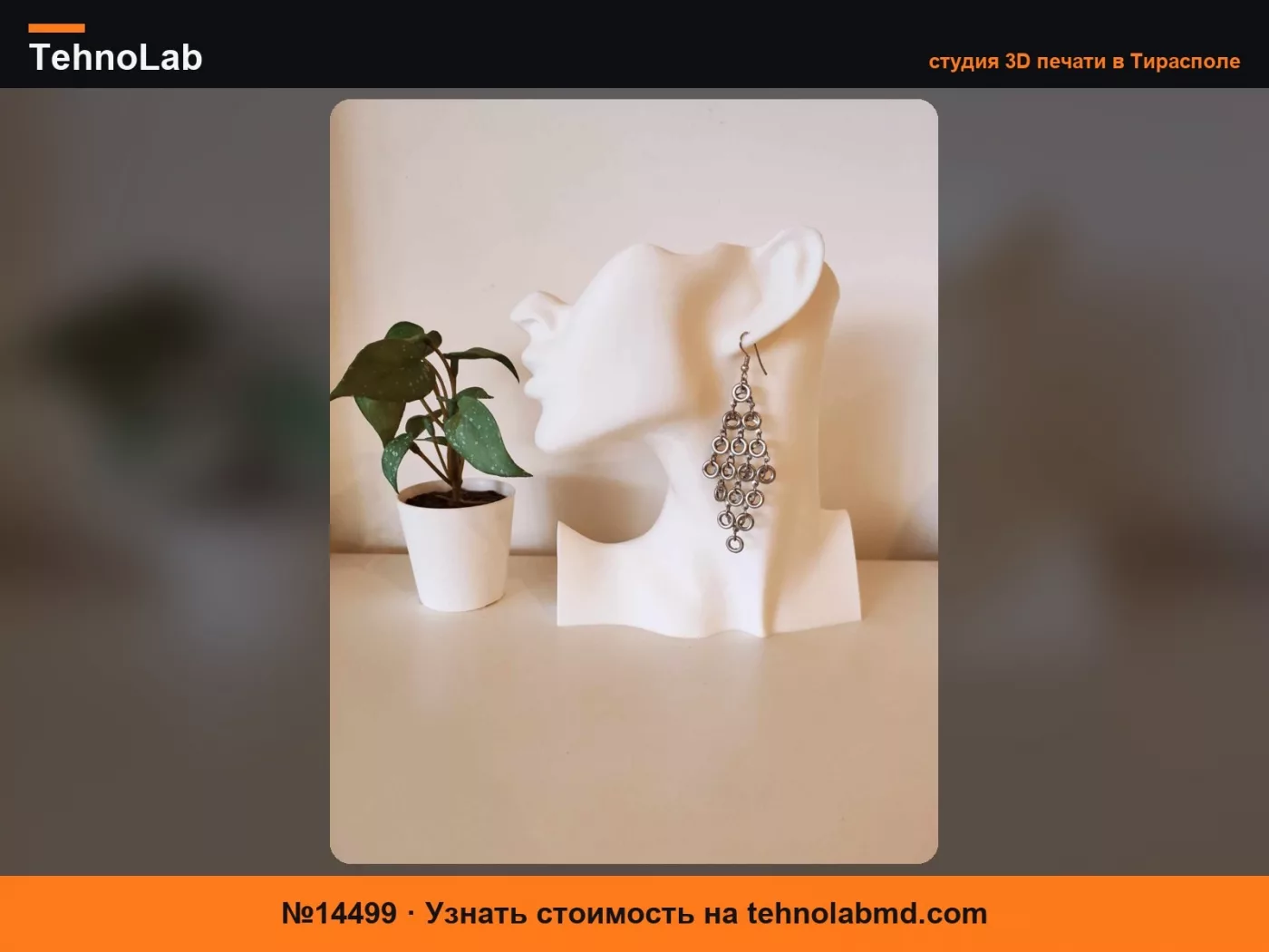 №14499 Дисплей для сережек