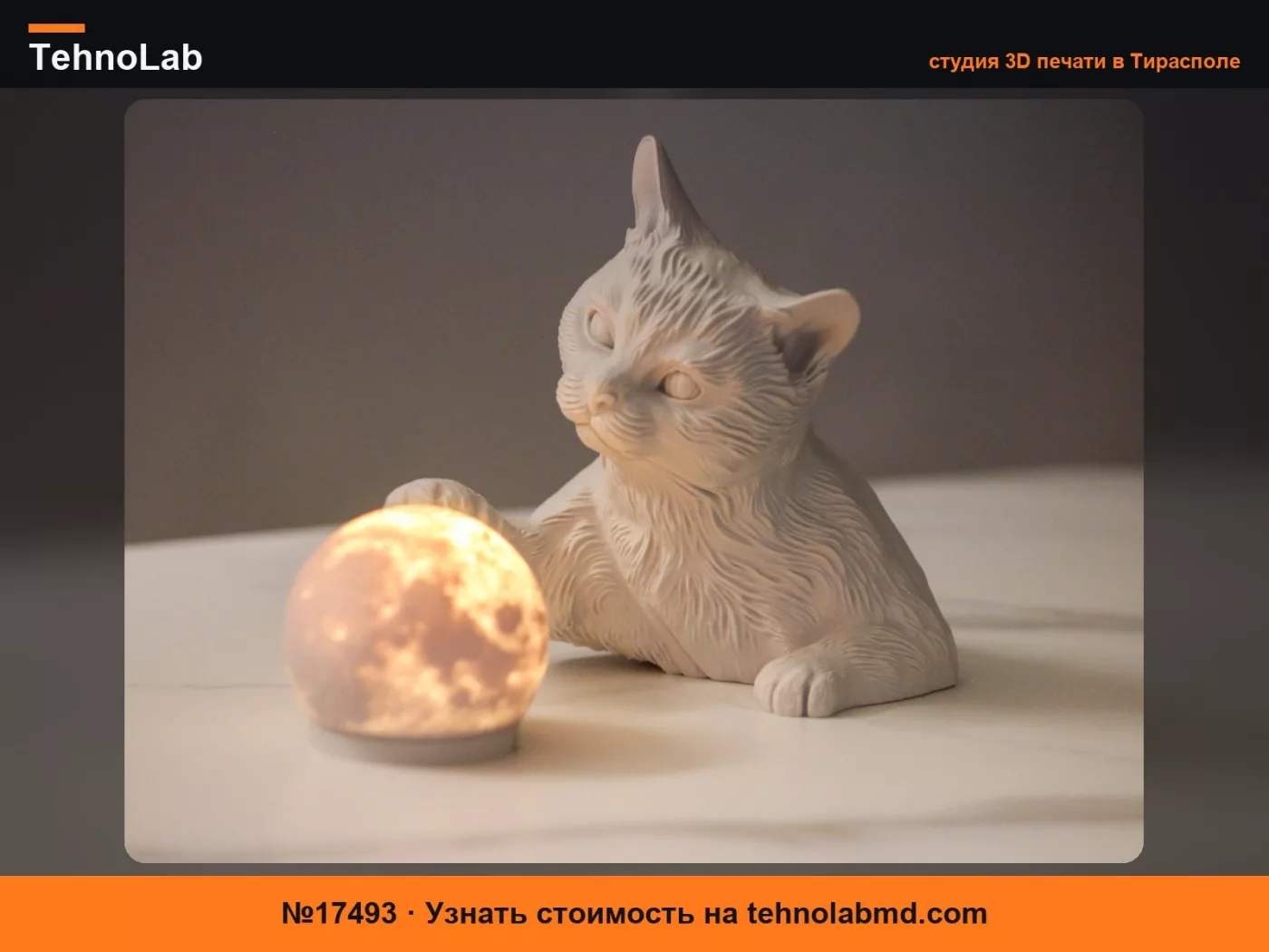 №17493 Лампа-Луна Кот – LED Комплект 001
