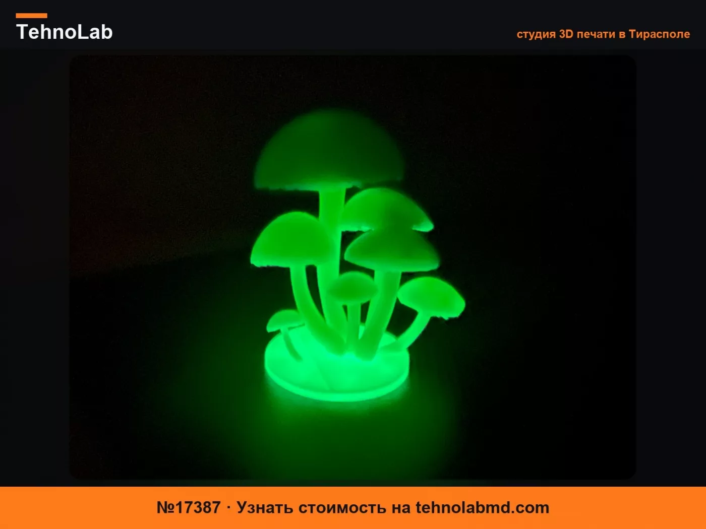 №17387 Светящиеся грибы – LED лампа 001). V2
