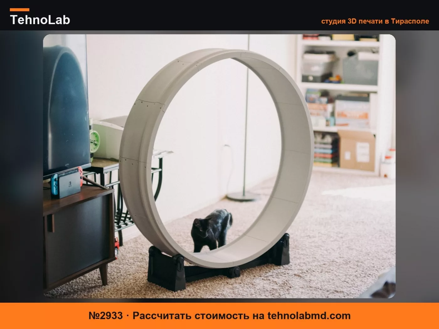 №2933 Колесо для кошачьих упражнений
