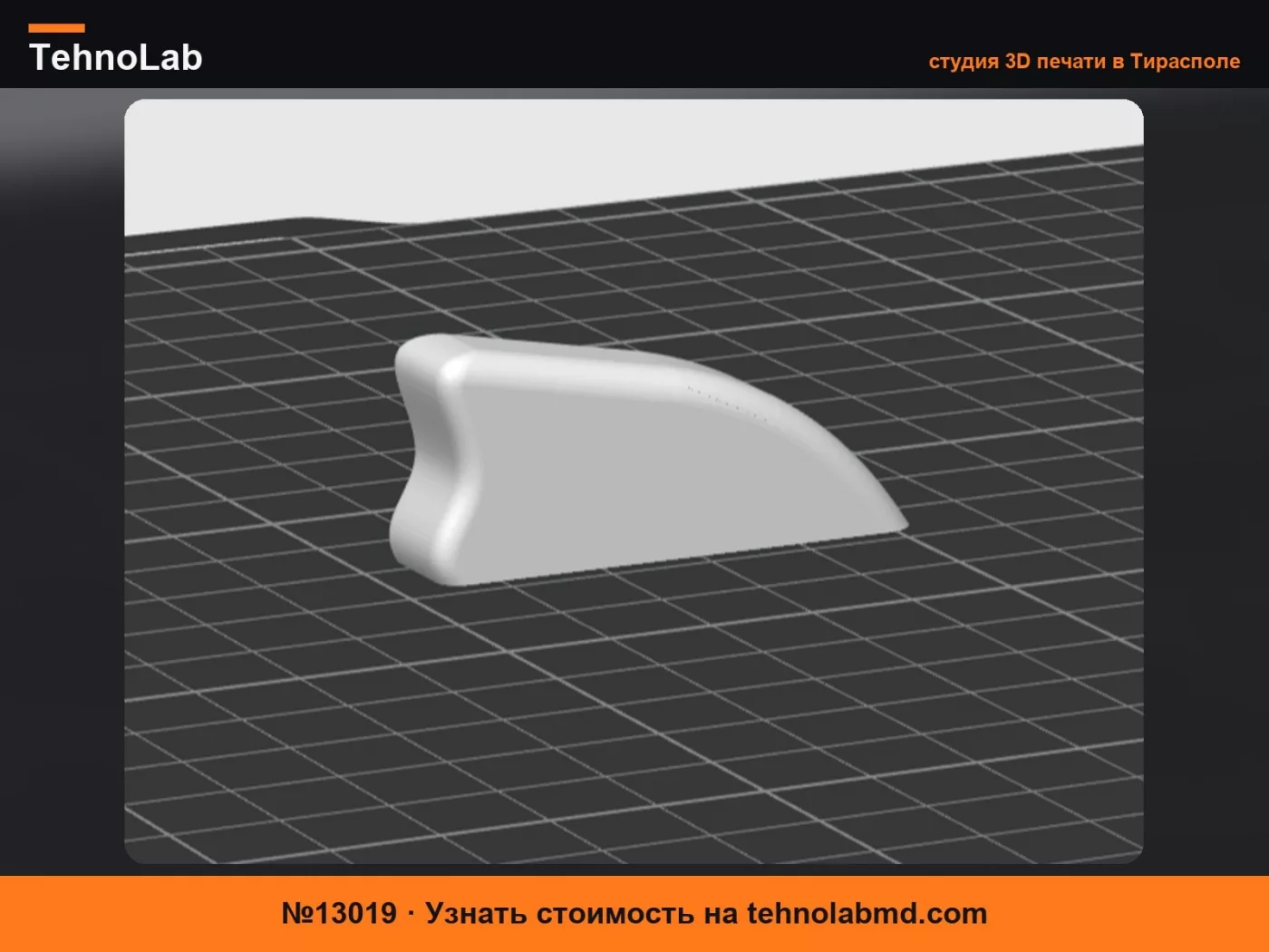 №13019 Ручка Citroen Saxo / ручка сиденья Citroen Saxo
