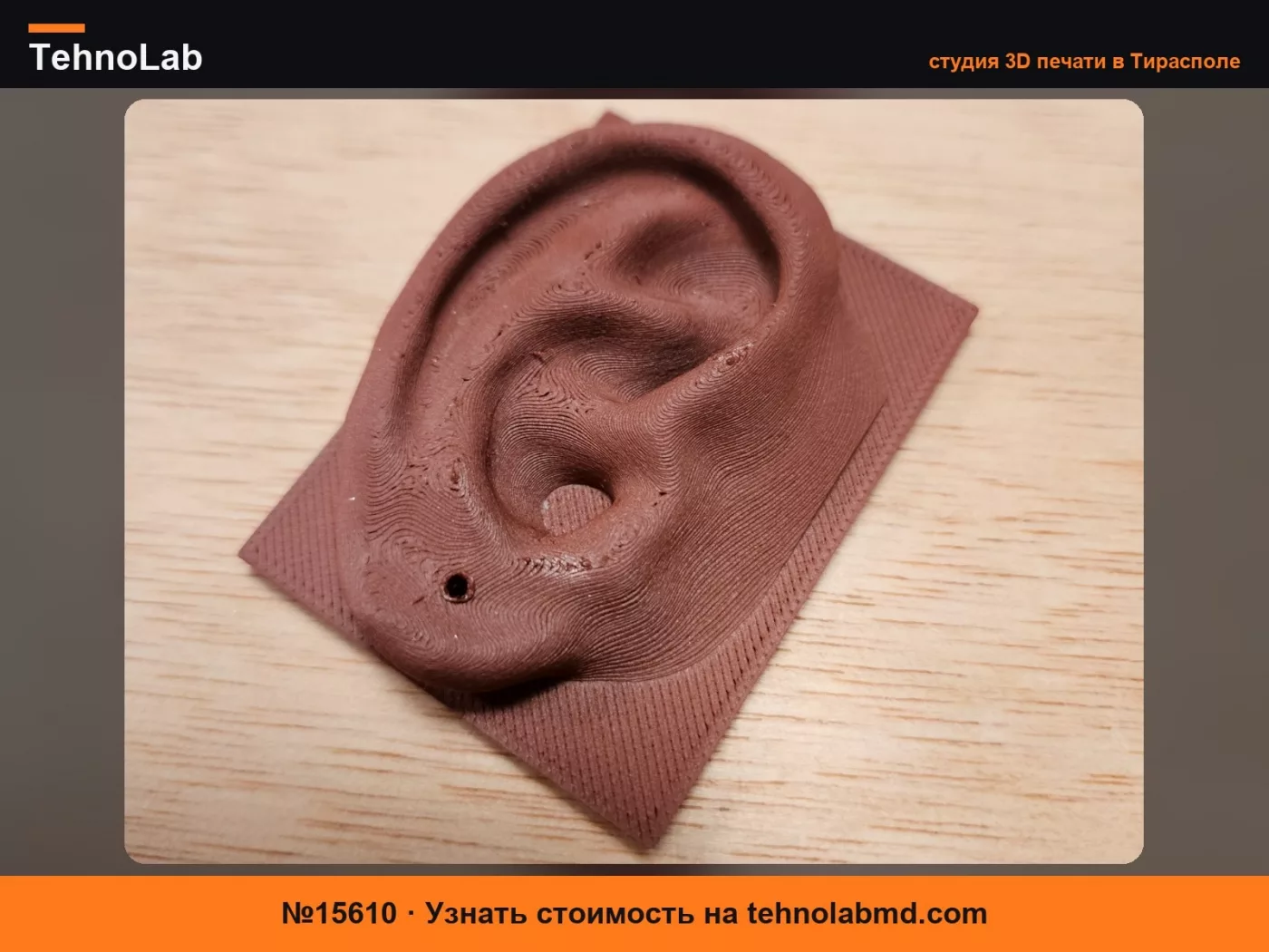 №15610 Ухо для серьги