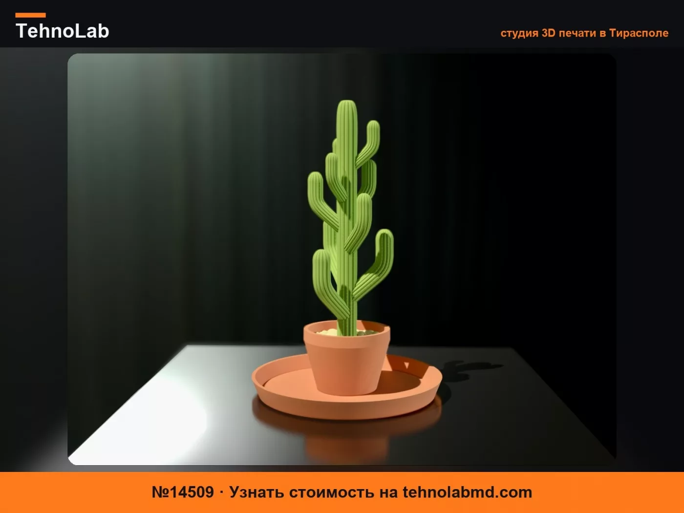 №14509 Кактус для украшений