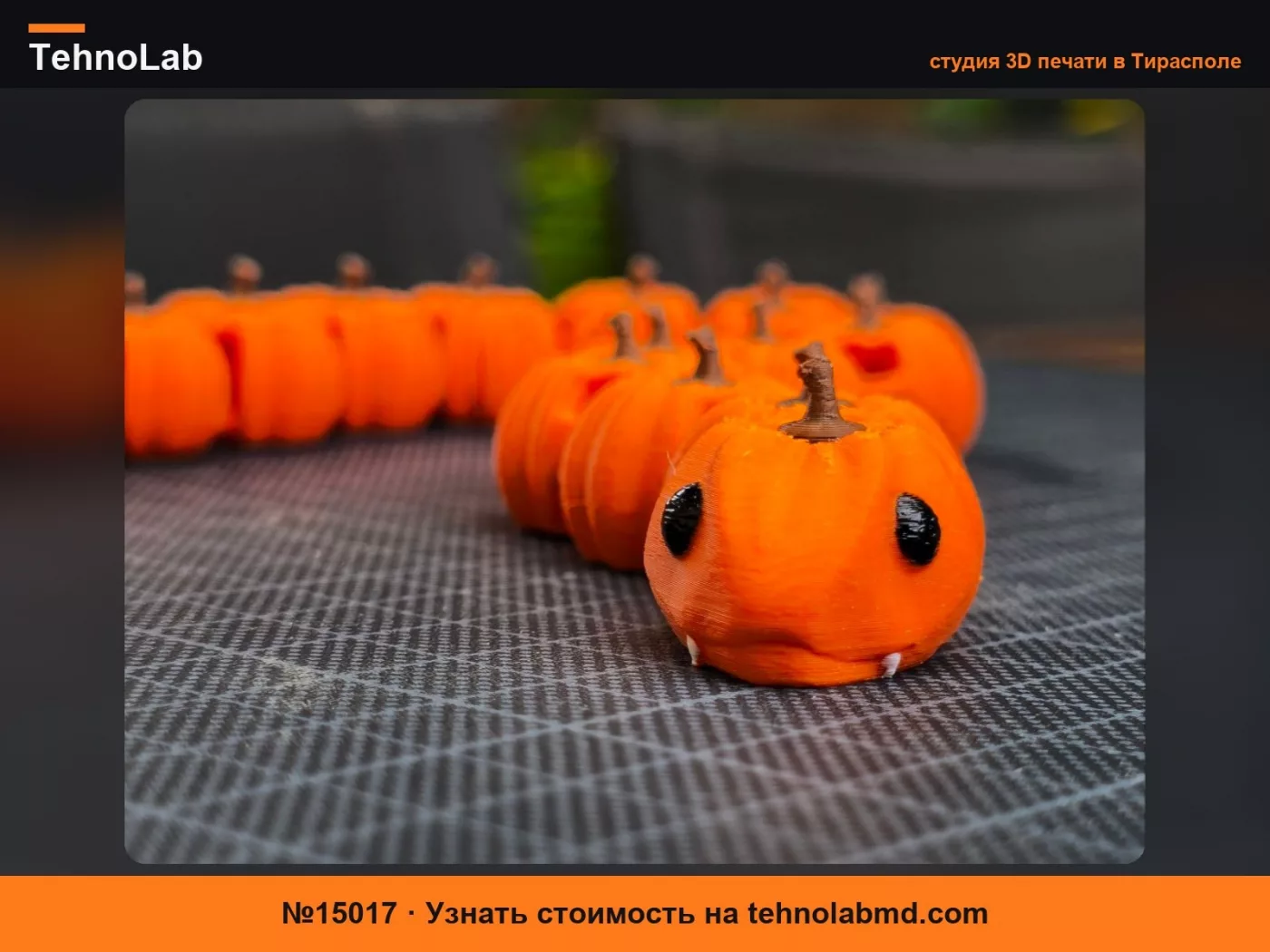 №15017 Тыквенная Змея _ Сочлененная Змейка