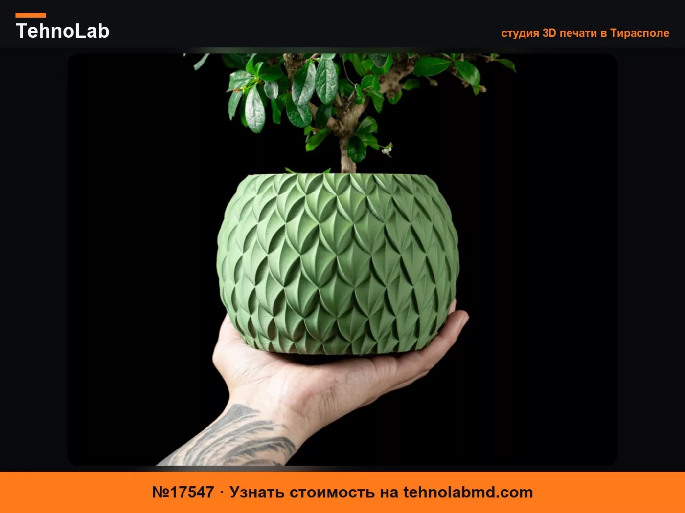 №17547 Горшок для растений «Scale»