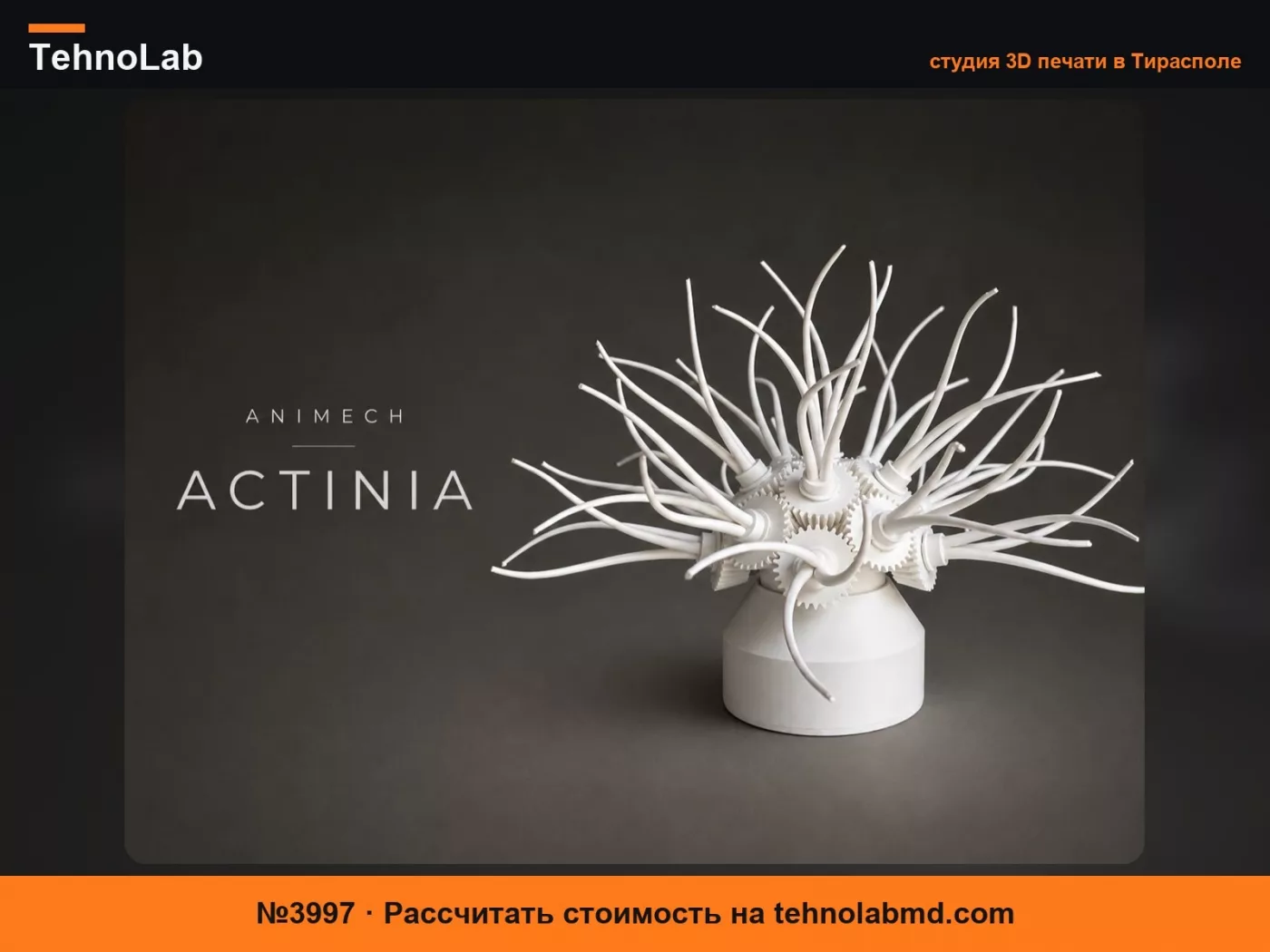 №3997 ANIMECH Actinia - Кинетическая Шестеренчатая Анемона