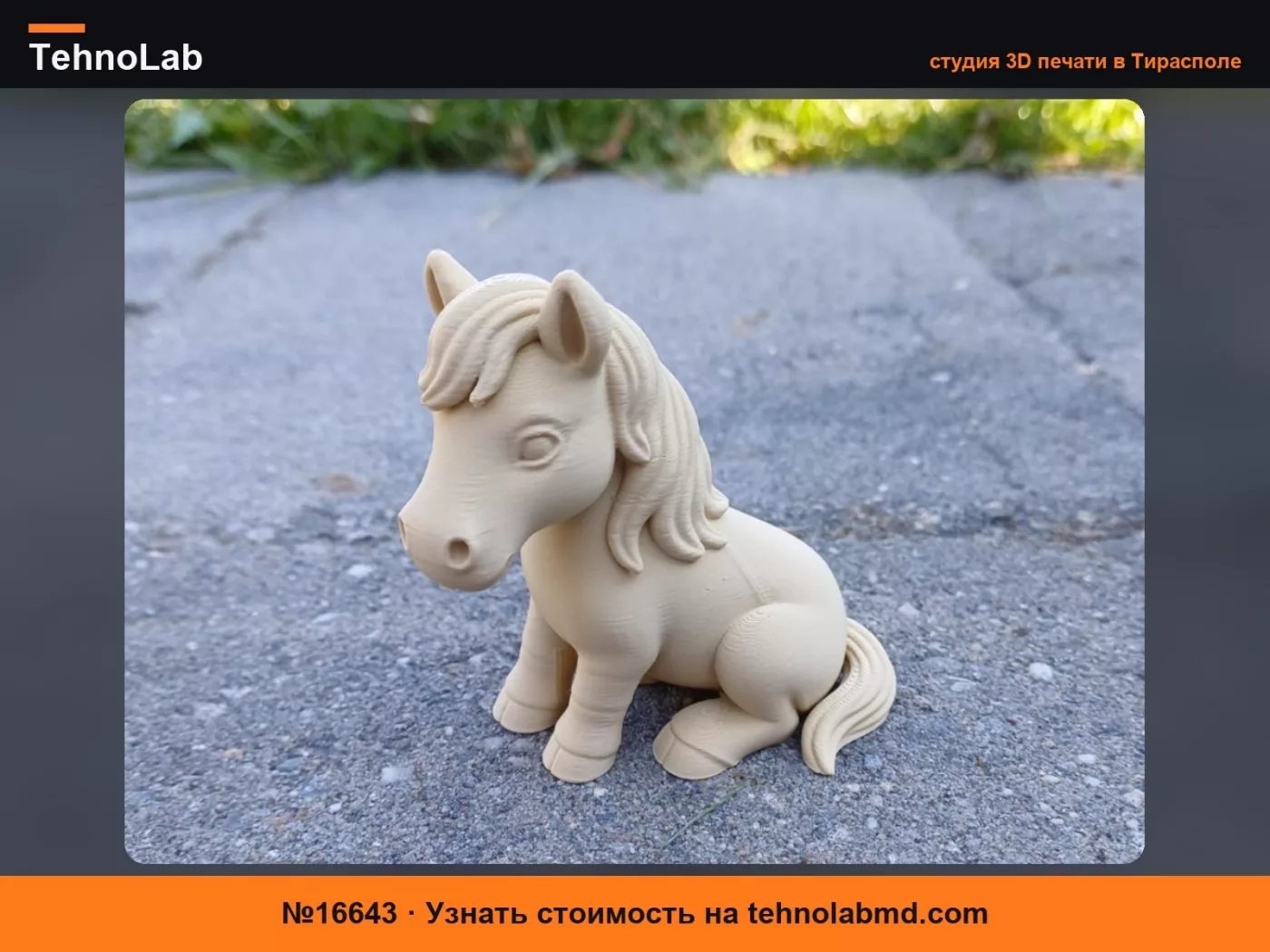 №16643 Милая сидячая лошадка